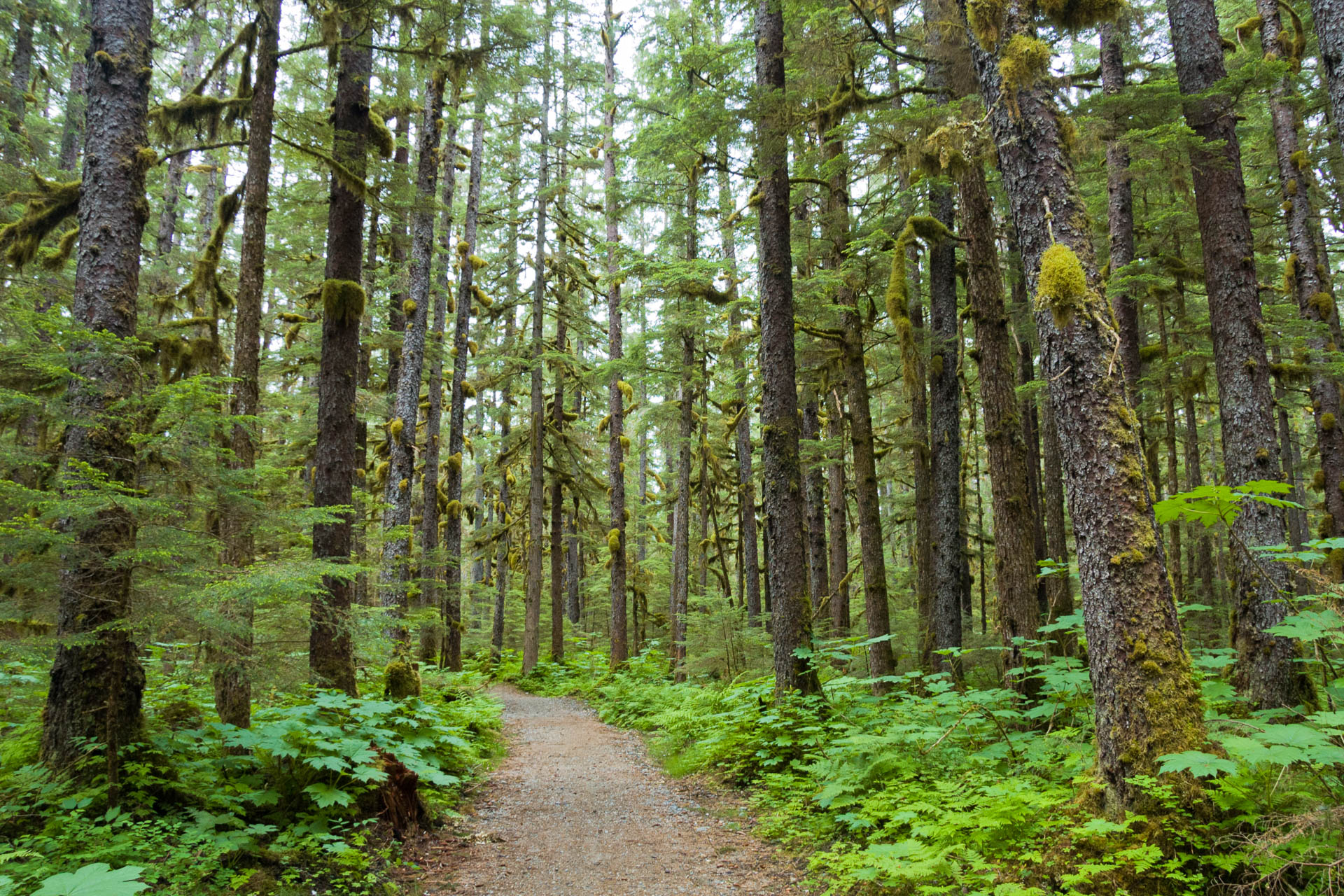 Juneau, Alaska