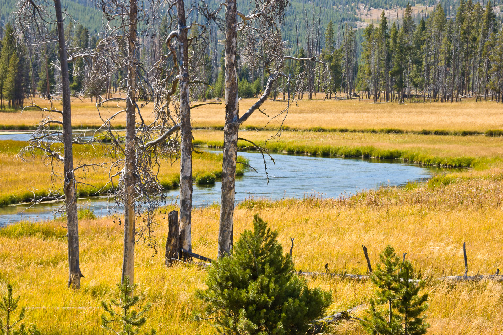 Yellowstone National Park, Wyoming