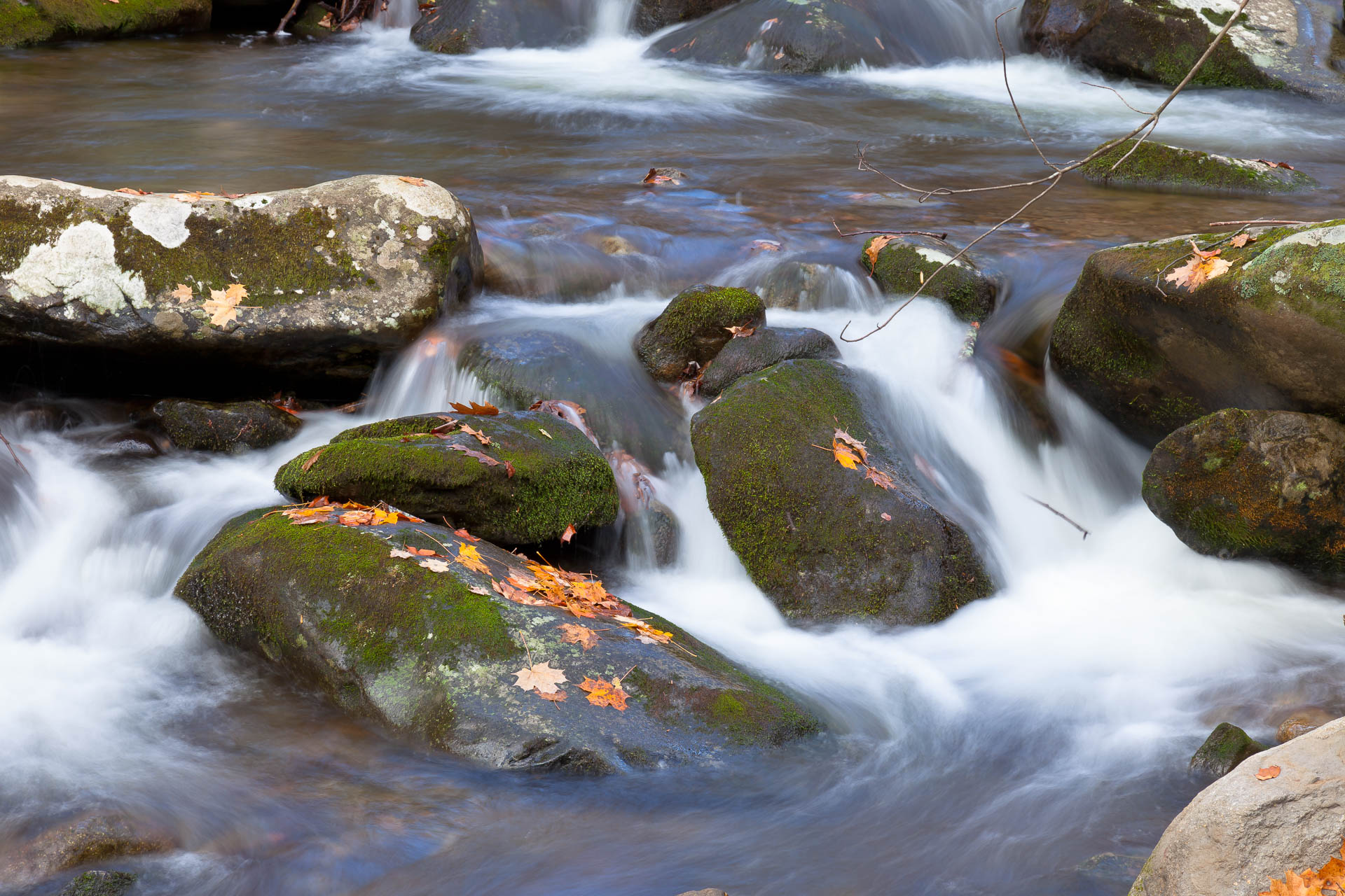 Great Smoky Mountains NP, Tennessee