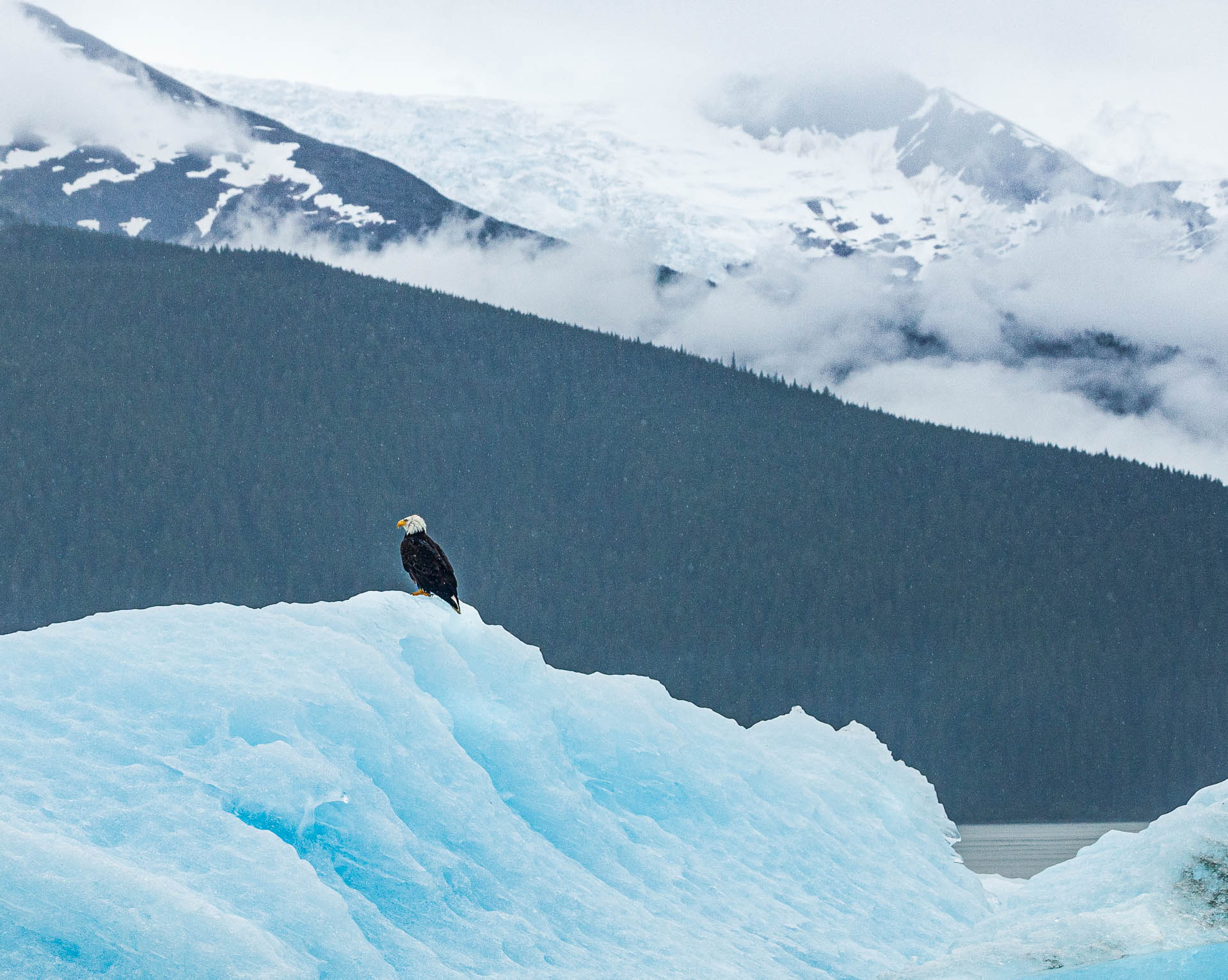 Alaska