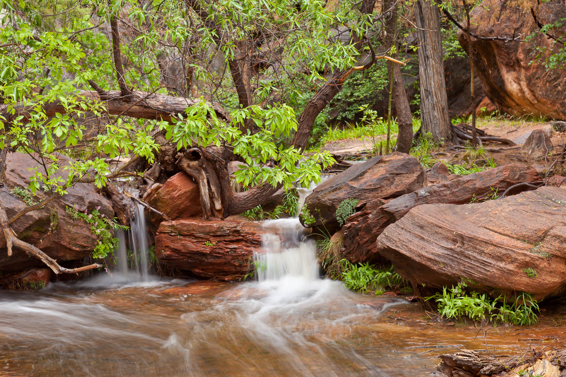 Zion National Park, Utah