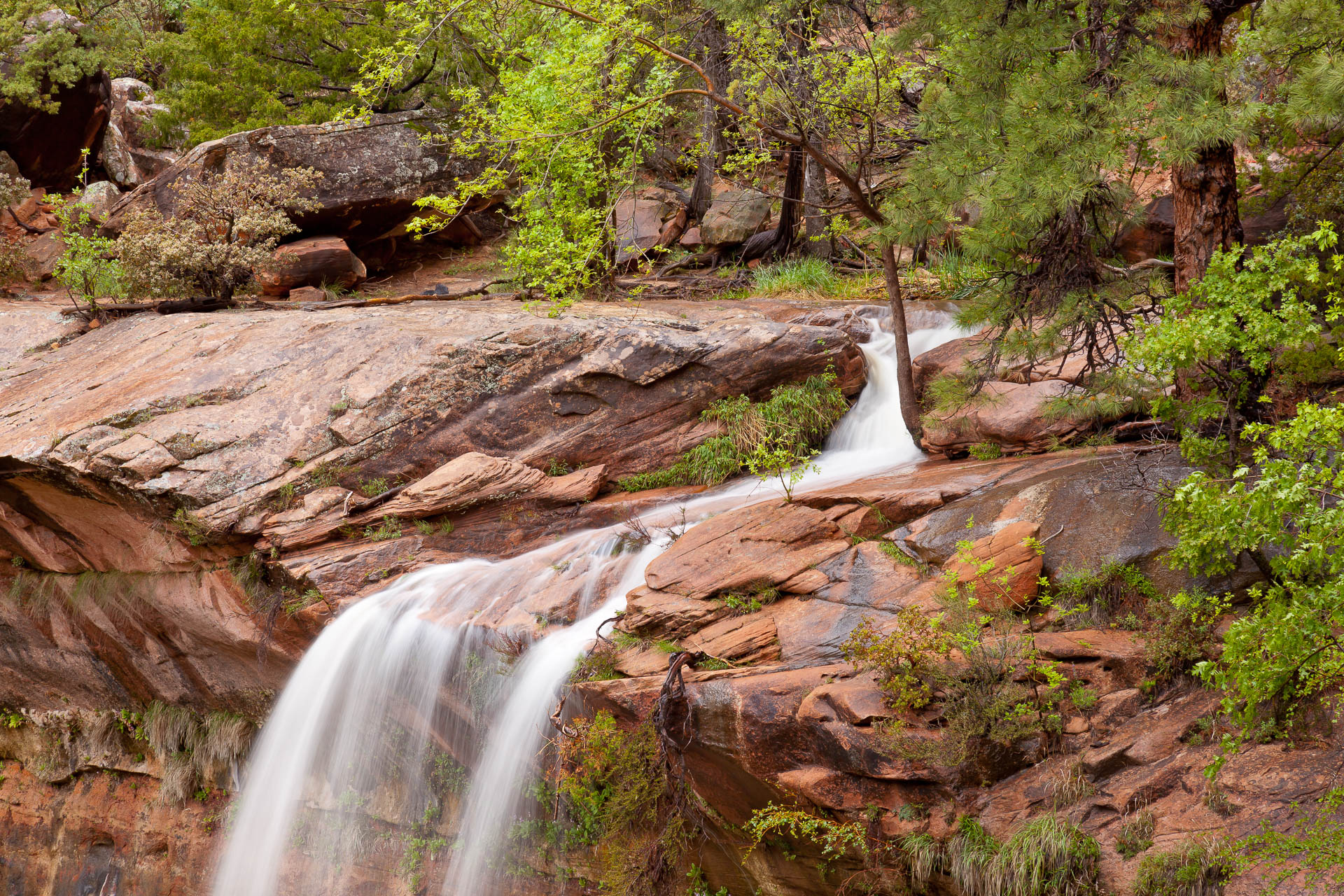 Zion National Park, Utah