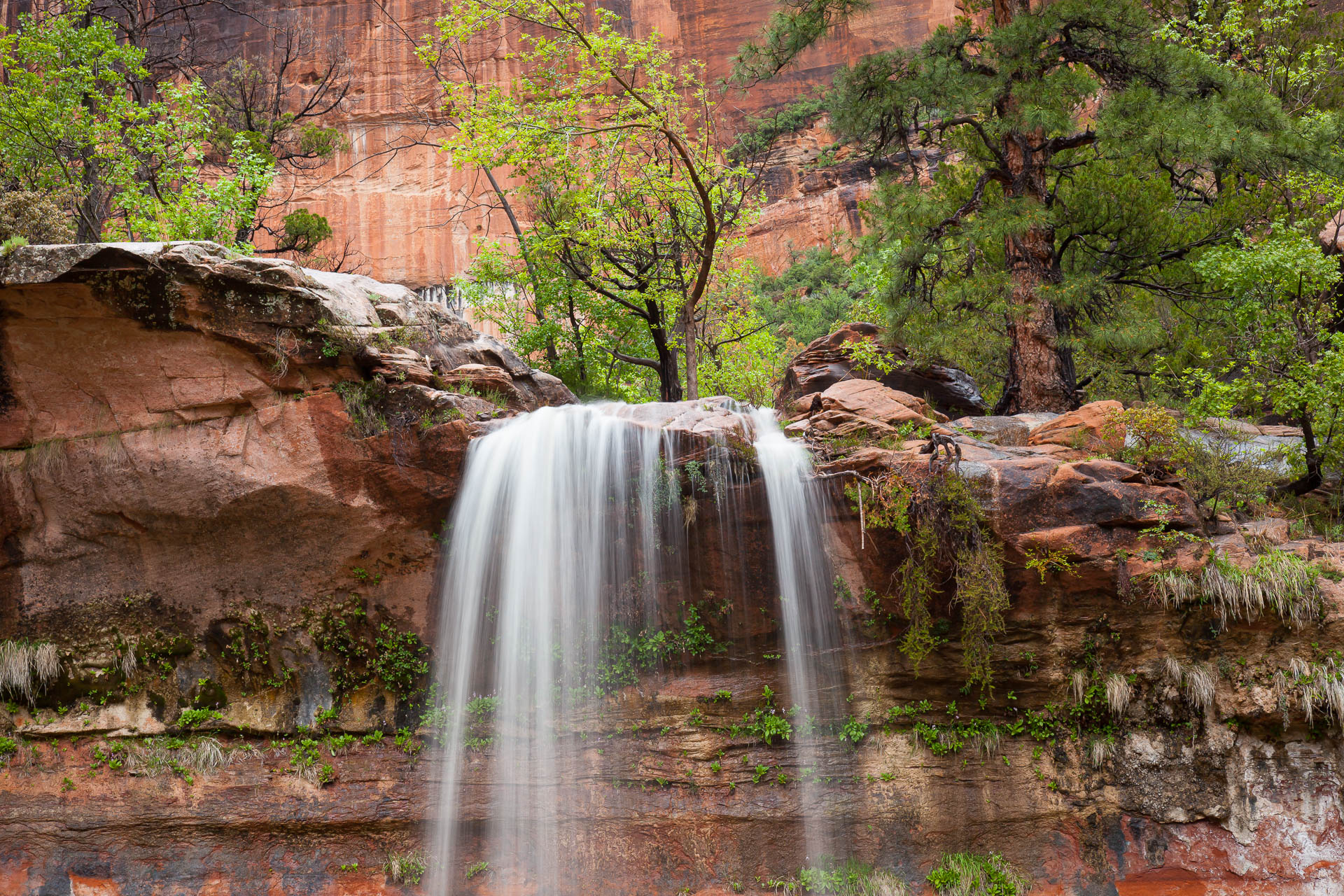 Zion National Park, Utah