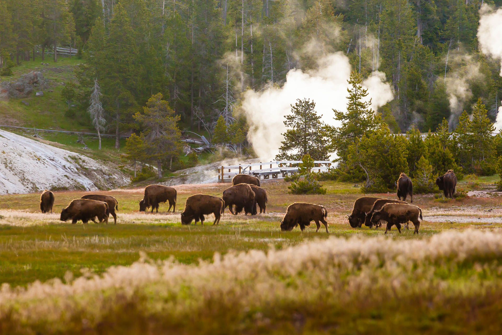 Yellowstone National Park, Wyoming