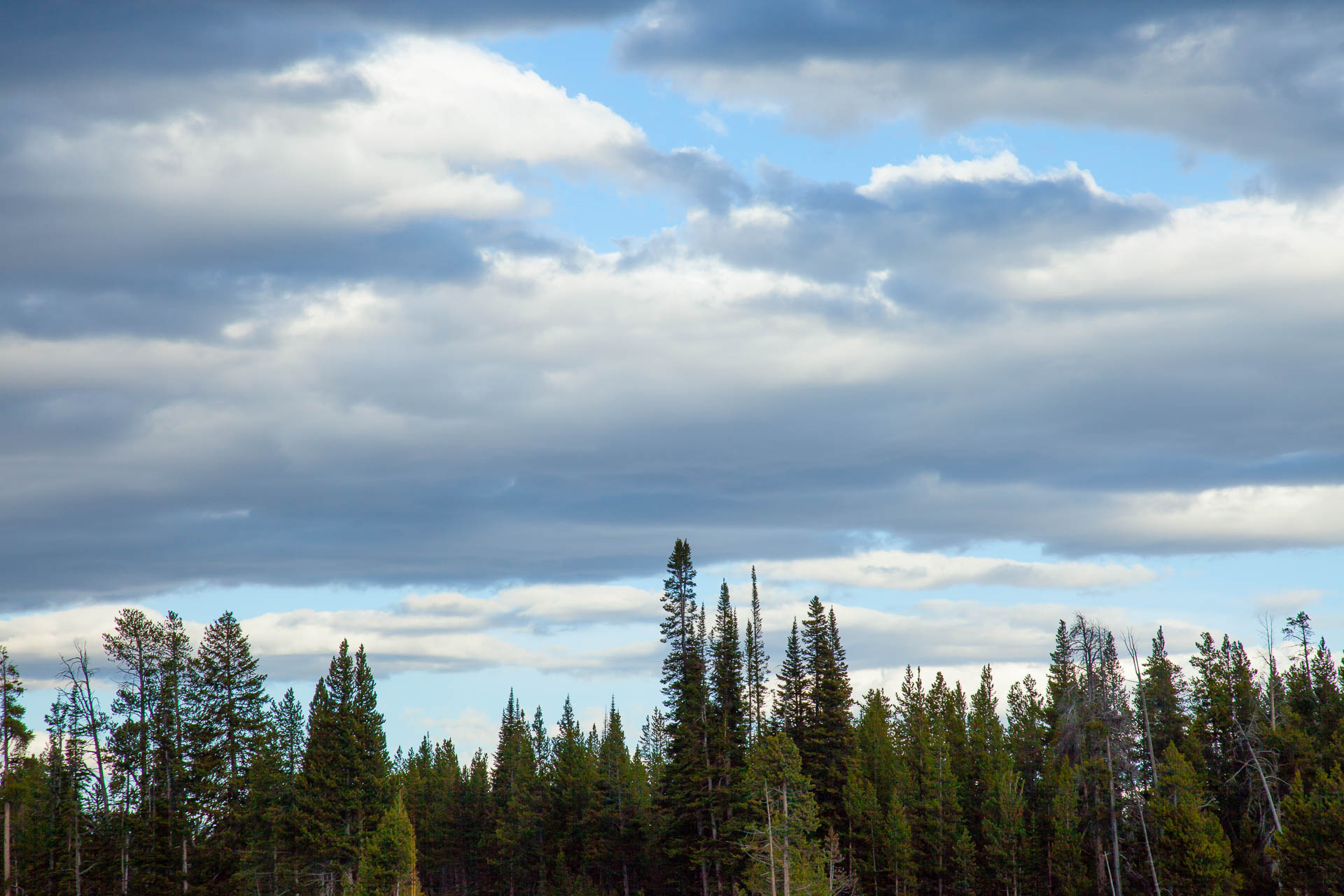Yellowstone National Park, Wyoming