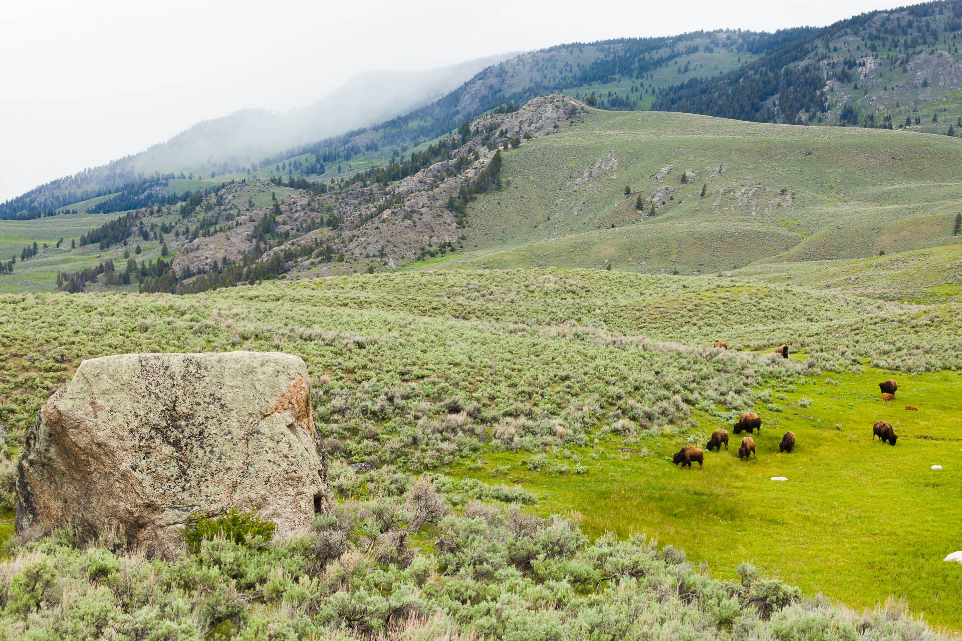 Yellowstone National Park, Wyoming