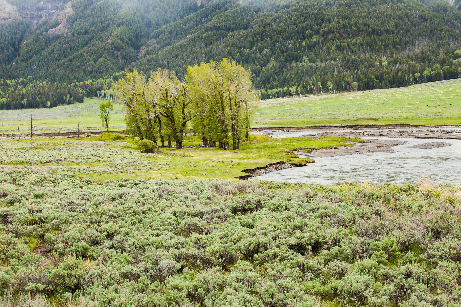 Yellowstone National Park, Wyoming