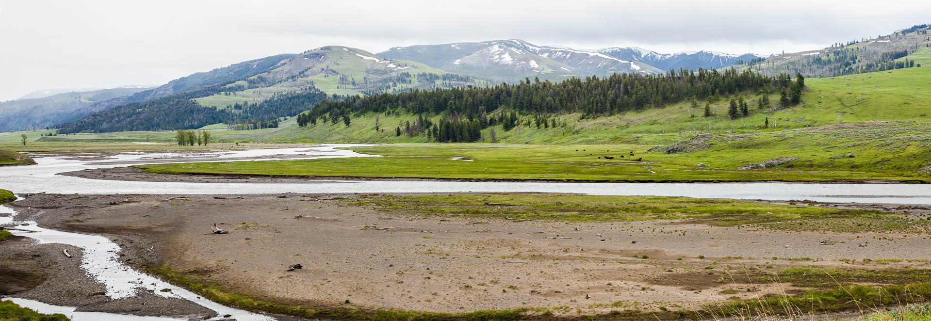 Yellowstone National Park, Wyoming