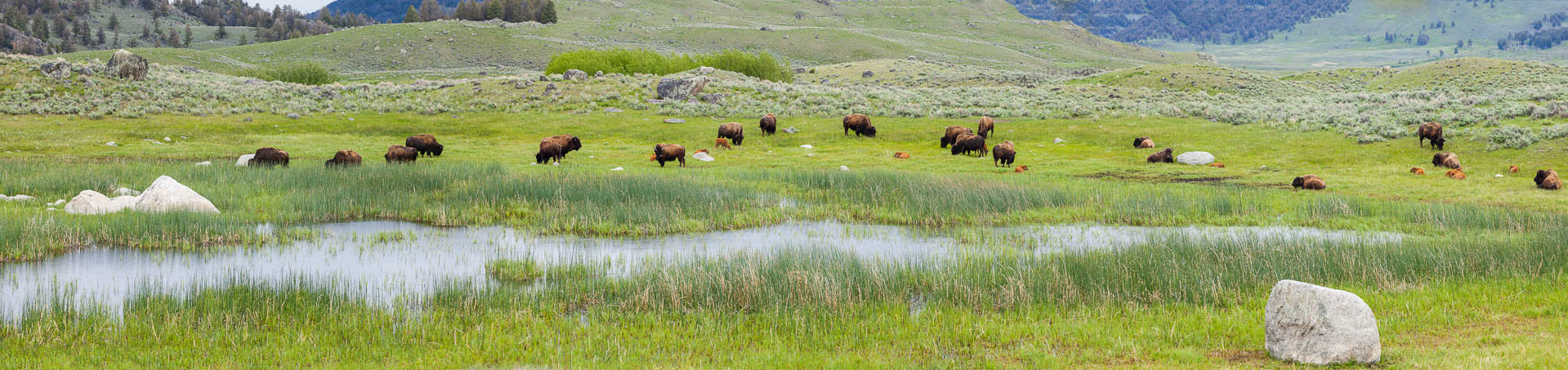 Yellowstone National Park, Wyoming