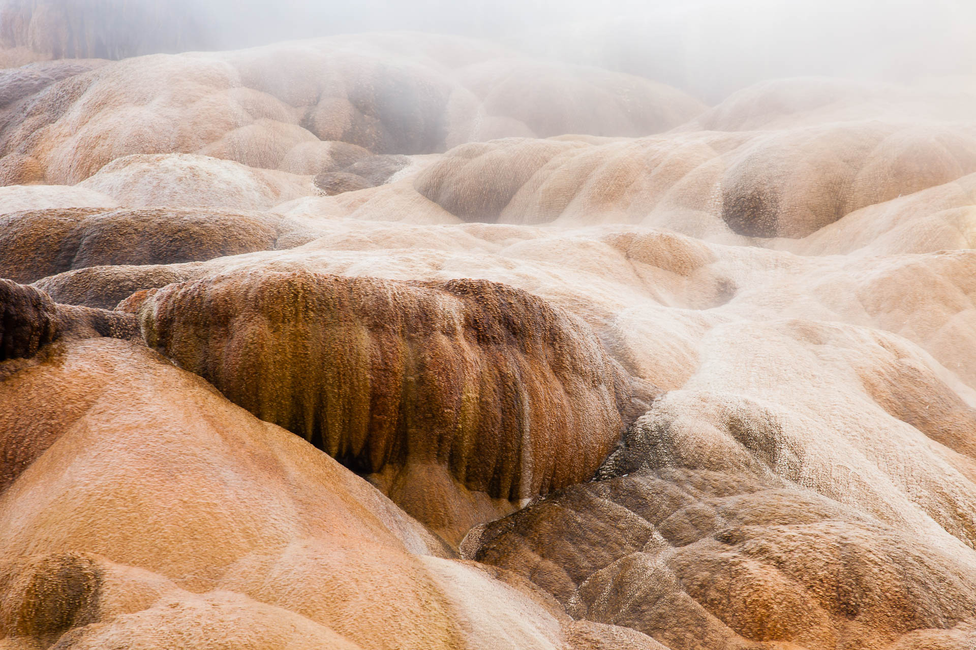 Yellowstone National Park, Wyoming