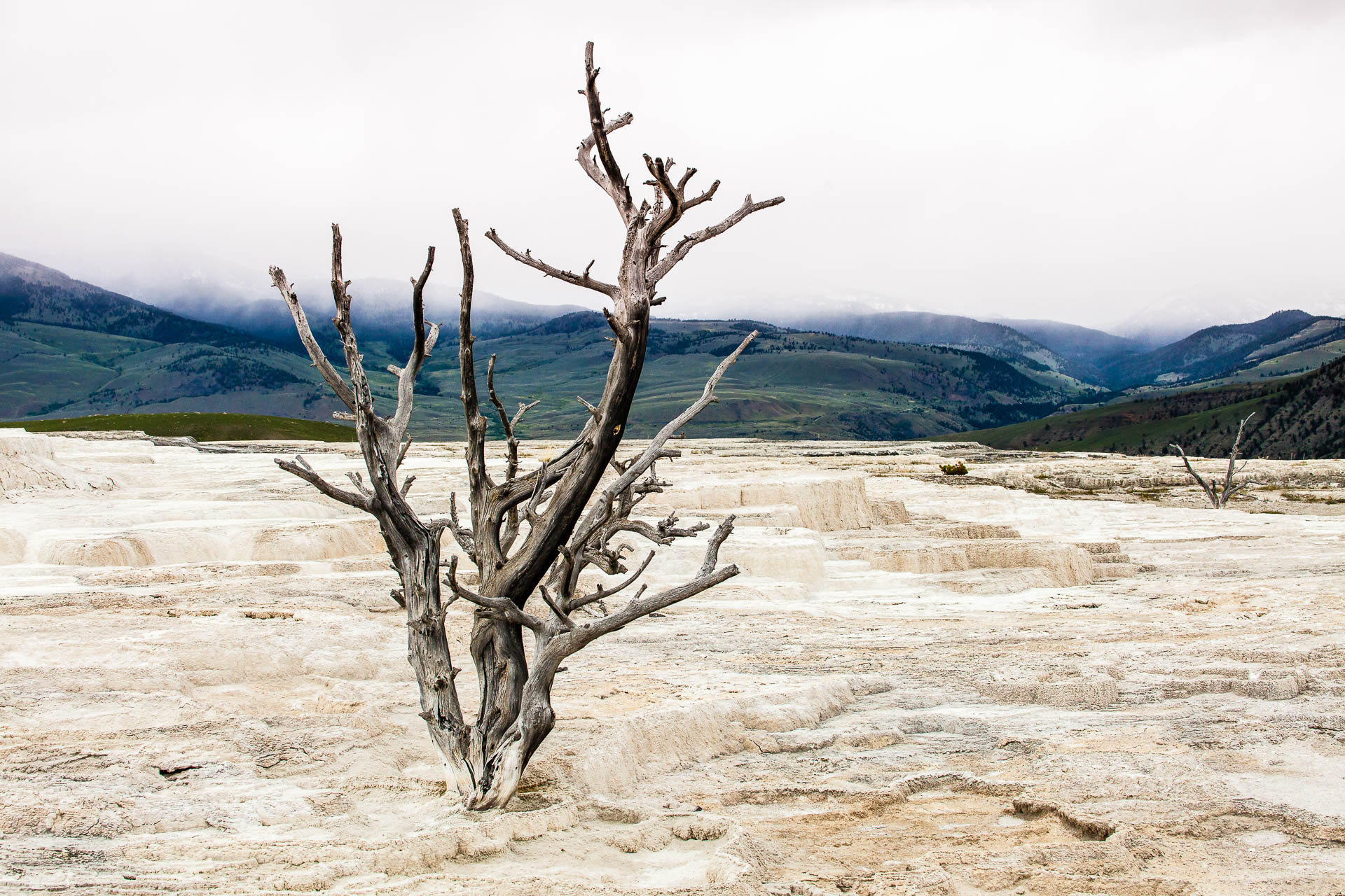 Yellowstone National Park, Wyoming