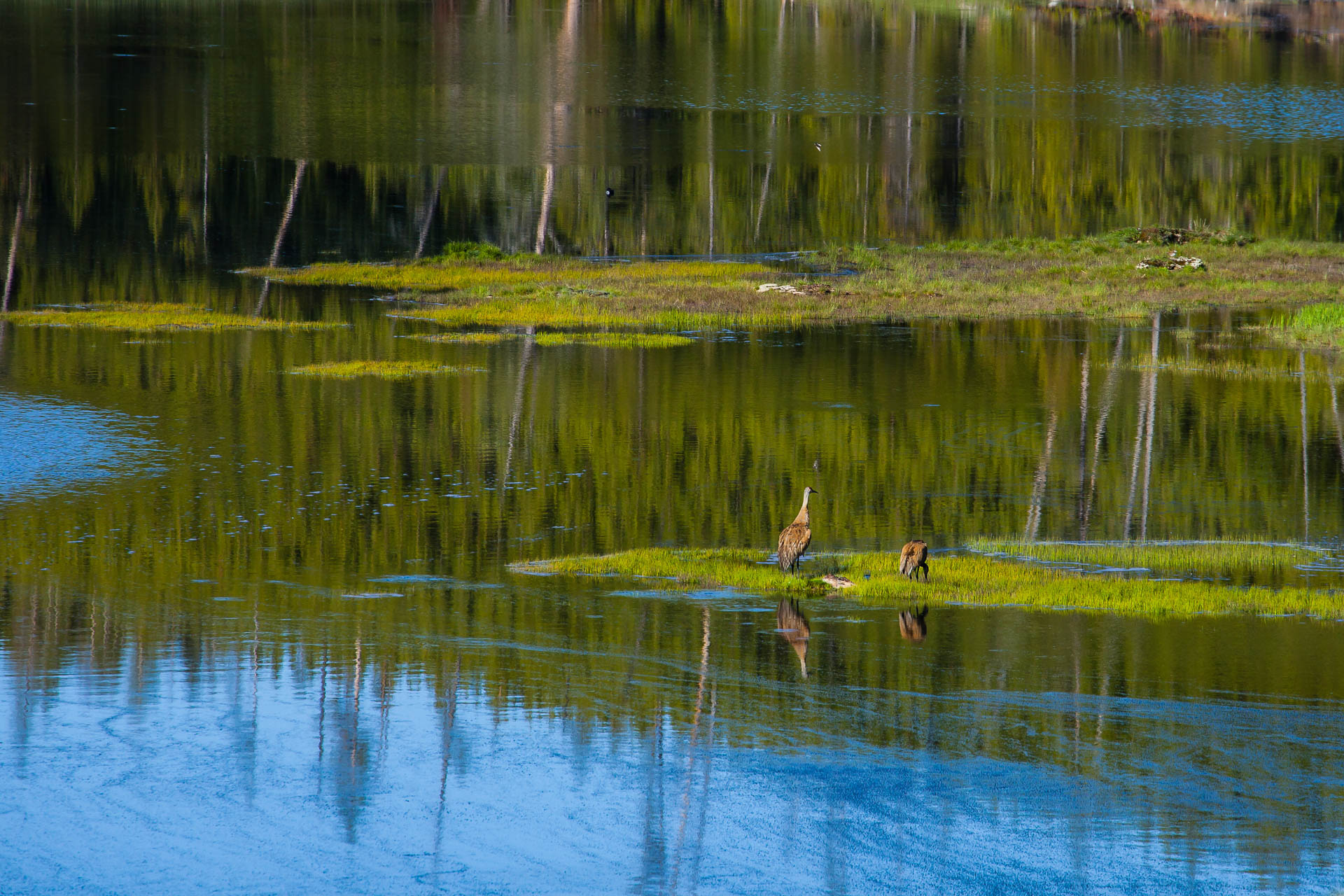 Yellowstone National Park, Wyoming