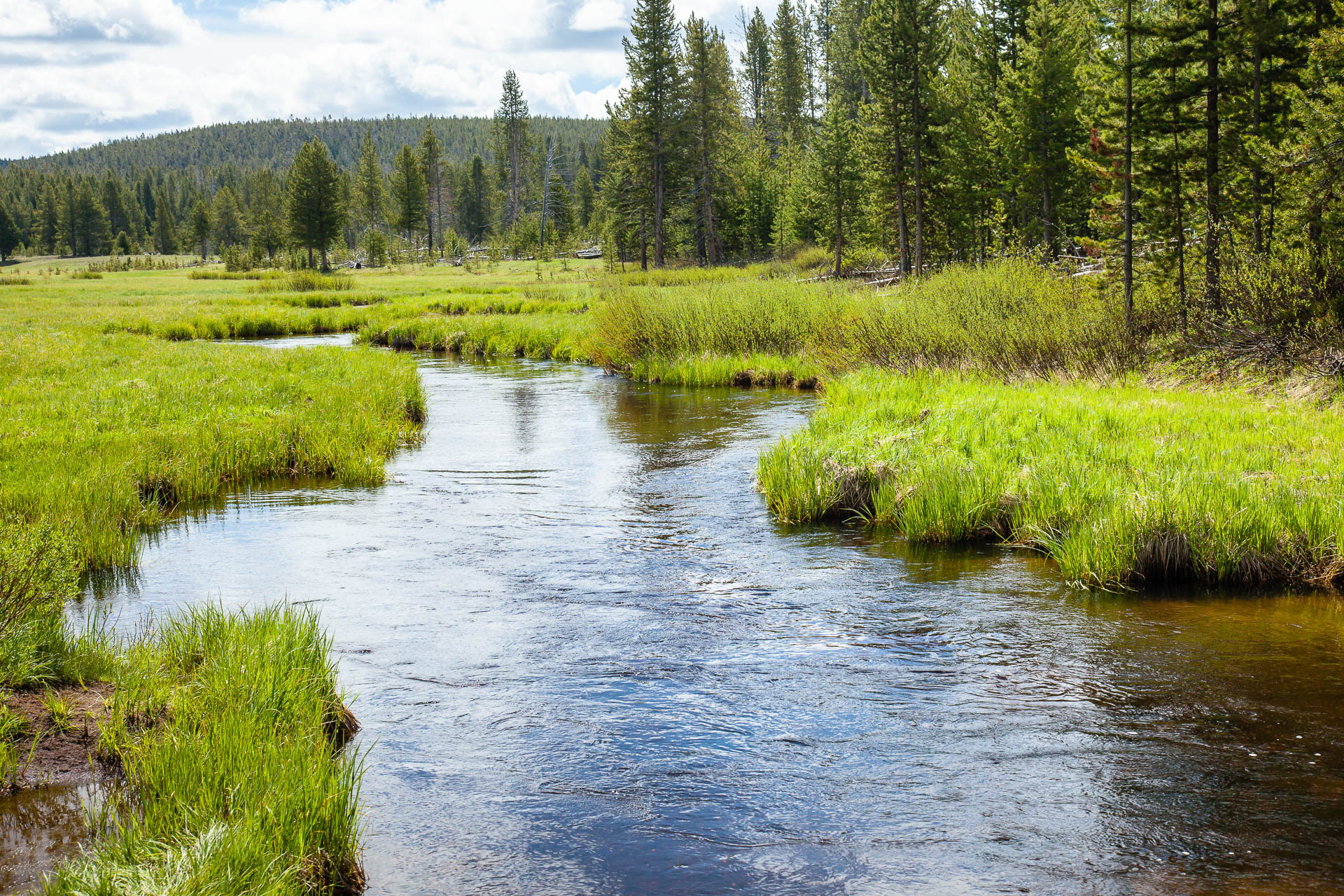 Yellowstone National Park, Wyoming