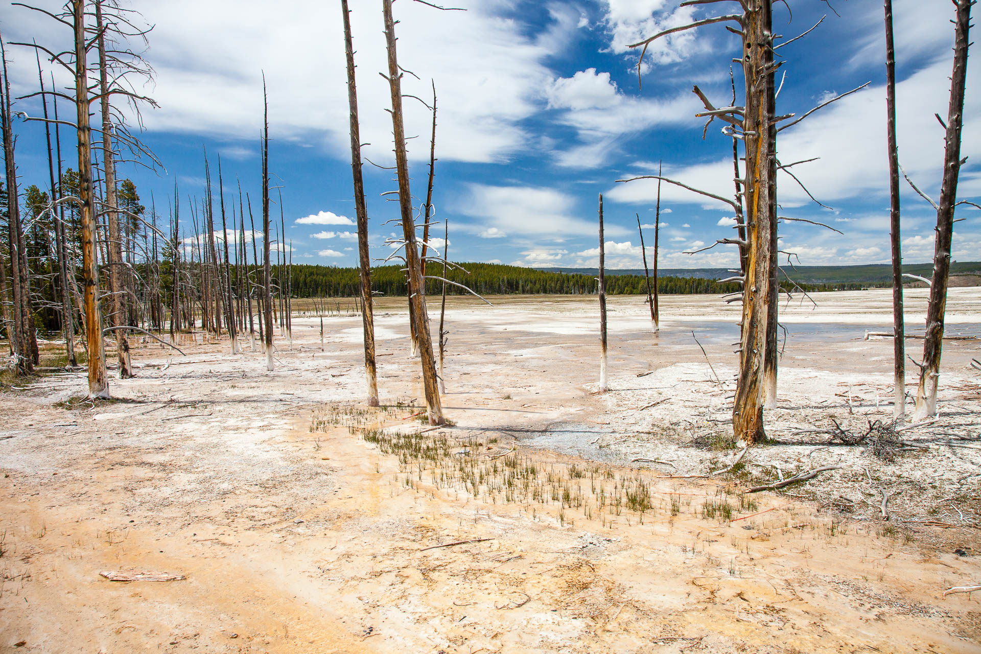 Yellowstone National Park, Wyoming