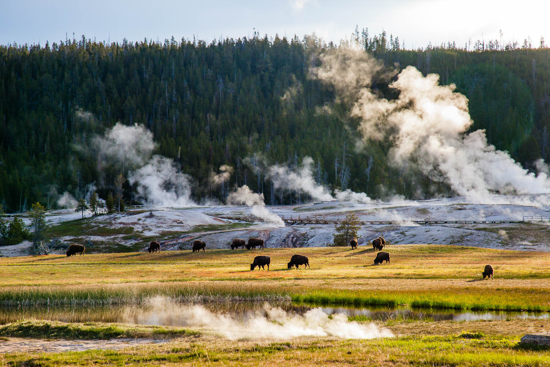 Yellowstone National Park, Wyoming
