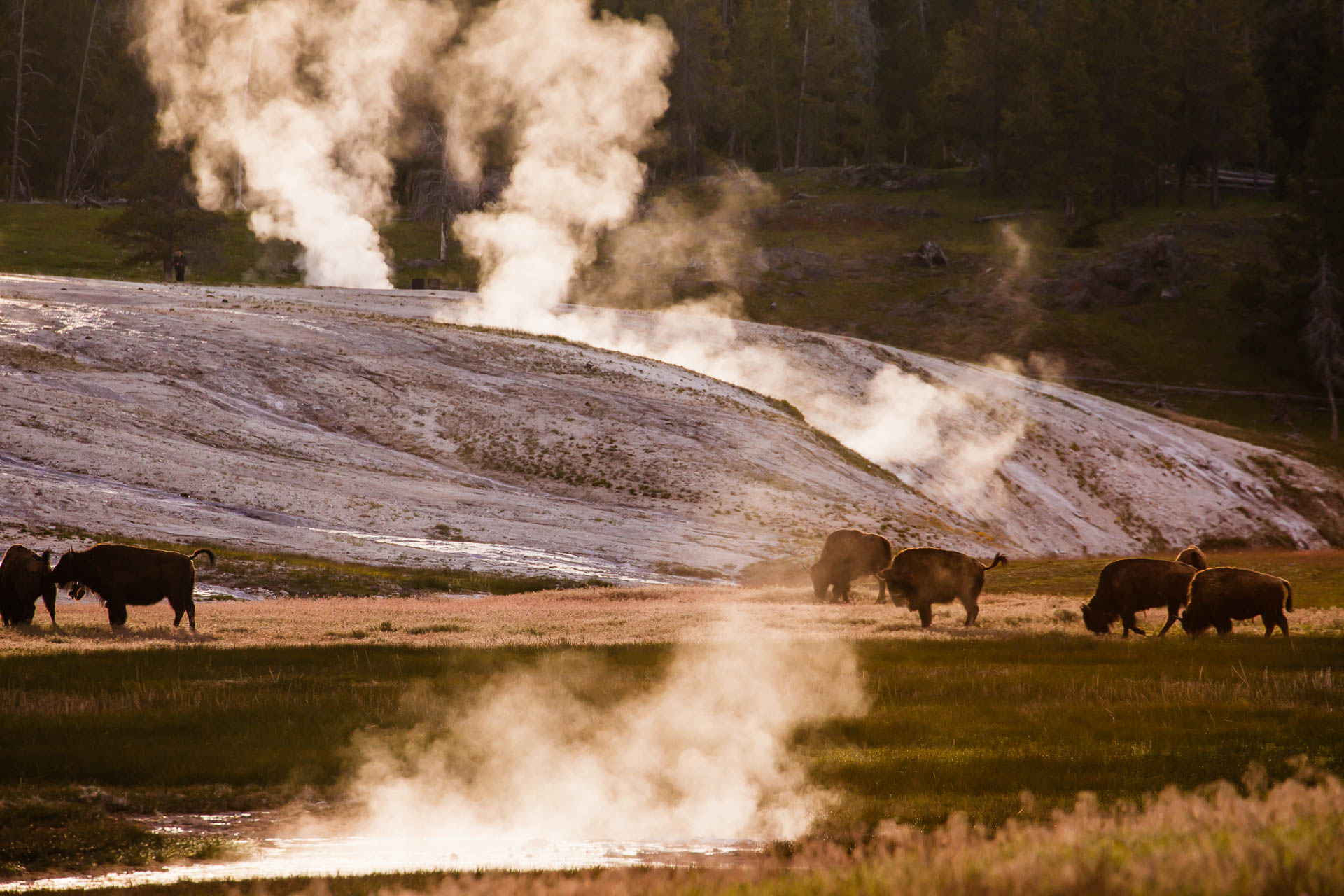 Yellowstone National Park, Wyoming