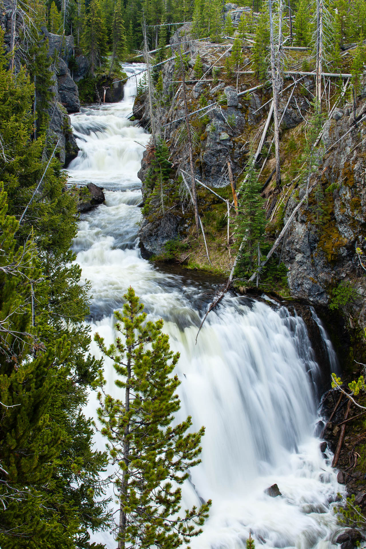 Yellowstone National Park, Wyoming