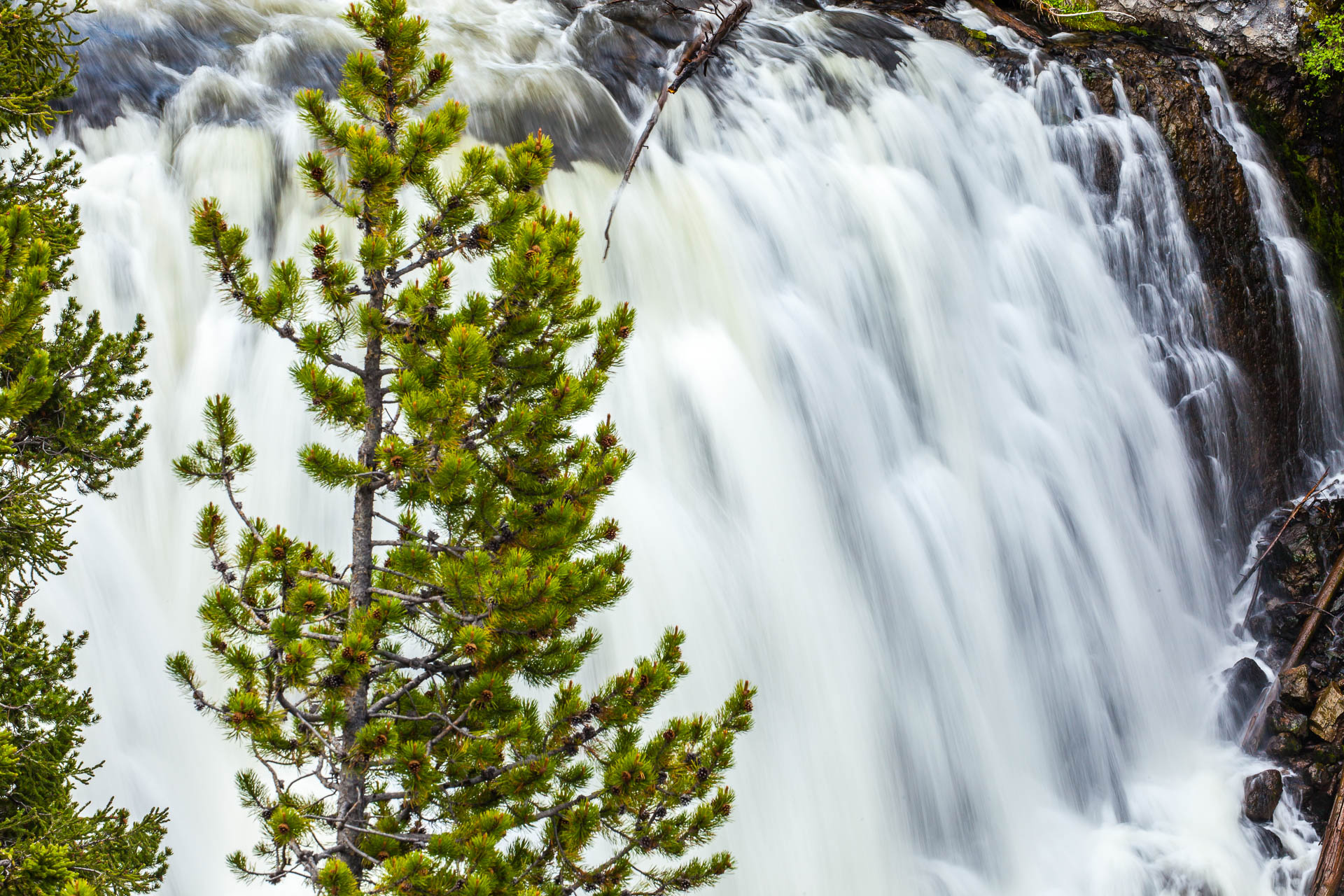 Yellowstone National Park, Wyoming